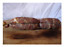 Soppressata Casereccia